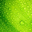 程序图标：Nature Wallpapers  Themes