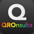 程序图标：QROnsulta