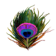 Icon of program: Odia Bhagabata
