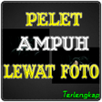 Ícone do programa: Pelet Ampuh Lewat Foto Te…