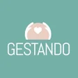 Icon of program: Gestando