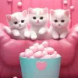 PinkyCat - Cat Wallpaper