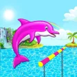 程序图标：Dolphin Water Show