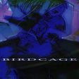프로그램 아이콘: Birdcage