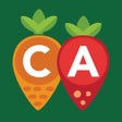 Programikonen: CA Meals for Kids