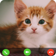 Icon of program: Cat Fake Video Call prank