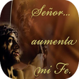 Programikonen: Como alcanzar la Fe Crist…