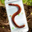 Earthworm in phone slimy joke