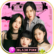 程序图标：Blackpink Songs Offline -…