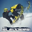 Programikonen: Sledders