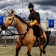 Icon of program: Osman Gazi Sim & Hunt