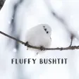 Fluffy Bushtit Theme