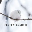 程序图标：Fluffy Bushtit Theme