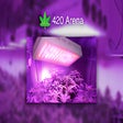420arena icon