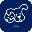 Programikonen: Petco Chile