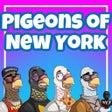 أيقونة البرنامج: Pigeons of New York