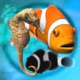 Icône du programme : Fish Farm