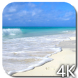 Programikonen: Paradise Video Live Wallp…