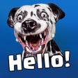 Programikonen: WildEmotions: add text to…
