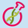 Icon of program: Dogma