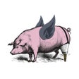 أيقونة البرنامج: Peg Leg Porker