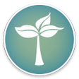 Programikonen: Organic-KWGT