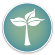 Programikonen: Organic-KWGT