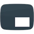 Symbol des Programms: Picture-in-Picture for Ch…