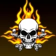 Programikonen: FFMax Panel Hak Fire Max