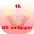 HD 4K Wallpaper