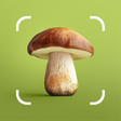 Ícone do programa: Mushroom ID - Fungi Ident…