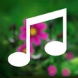 程序图标：MYin Music nice Chinese s…