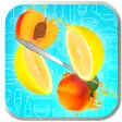 Fruit Slasher Mania: Fruit Cutting Dart Games