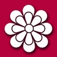 程序图标：Gallery