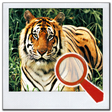 プログラムのアイコン：Find It 2™ Find the Diffe…