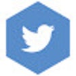 Icon of program: remove-twitter-trends