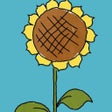 أيقونة البرنامج: Sunflower Count Drag Game