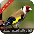 Programikonen: ملك الطيور الحسون