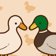 程序图标：アヒルかも？  Duck or Duck
