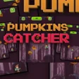 程序图标：Pumpkin Catcher