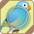Ikona programu: Automatic Bird Identifier
