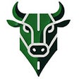 Ícone do programa: NSE Trader's Toolkit