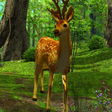 أيقونة البرنامج: 3D Deer-Nature Live Wallp…