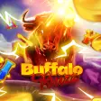 Buffalo Buzz
