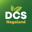 程序图标:DCS NL