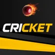 Cricket Card - Memory Match icon