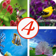 Иконка программы: 4 фотки 1 слово