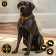 Programın simgesi: Pet Dog Simulator: Doggy …