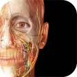 Human Anatomy Atlas 2022