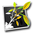 Symbol des Programms: MindNode Pro